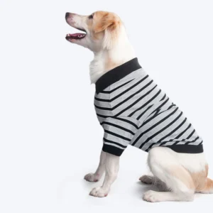 Striped polo dog grey tshirt